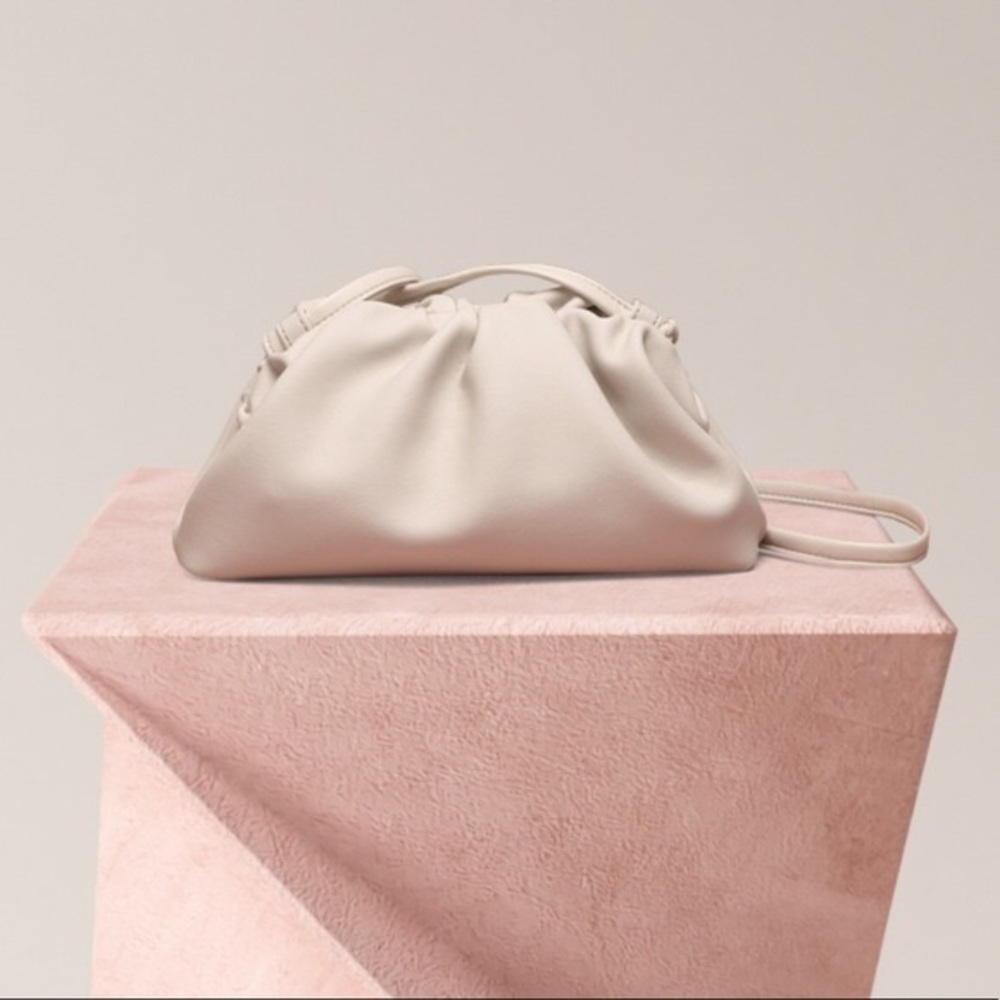 The pouch mini bag